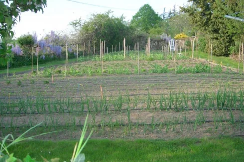 walled vegetable garden