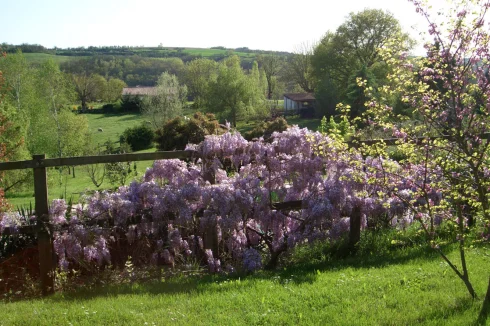 Grange garden