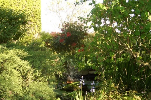 main house garden