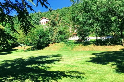 Looking across the gardens