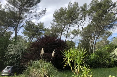 Biodiversity