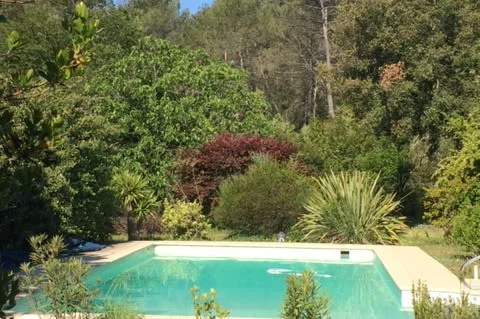 Pool & garden. Forest in background