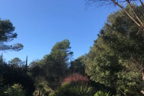 Pool and garden
