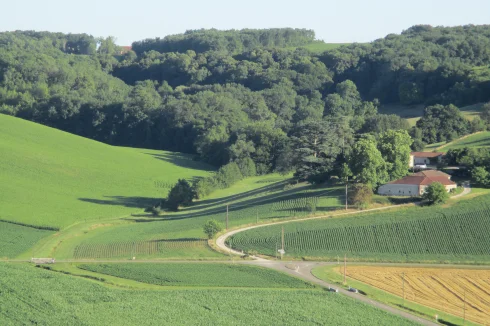 Land to left of road to trees