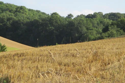 Zone propice au pâturage