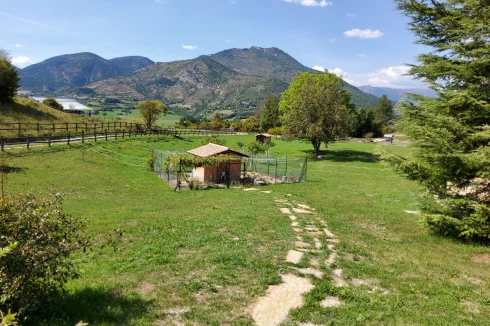 French France Renovation The Renovation Trap: How France’s Energy Policy Is Reshaping Housing Economics