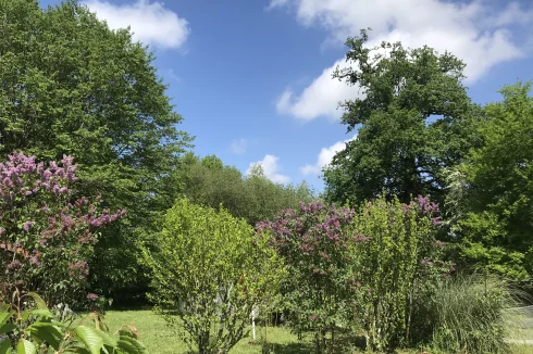 The garden around the cottage