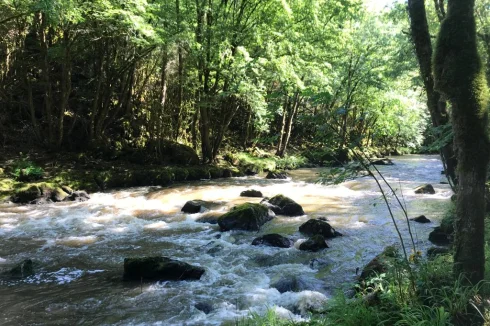 Les Gorges de l'Auvézère