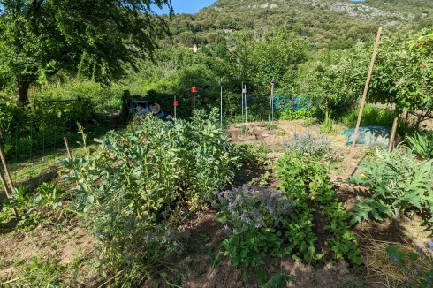 Jardin. Vue vers l'ouest.