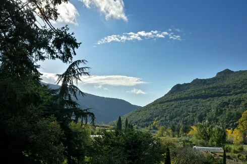 Vue du matin depuis la terrasse.