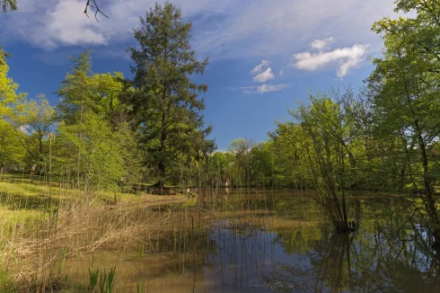 View from begining of property