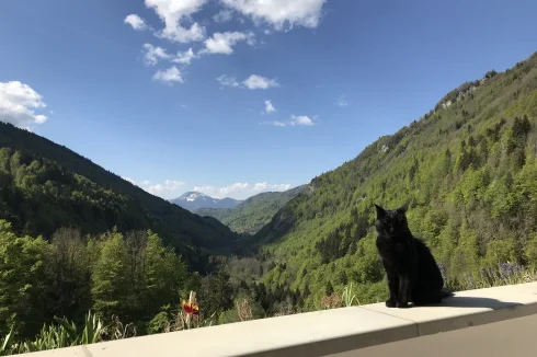 1940's Alpine House in the French Alps, Unique Situation, Spectacular Views, no Neighbors, 160sq/M 3900 Sq/M Land