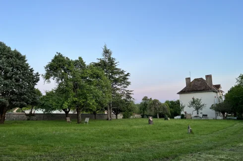 Evening sun view from Owl Cottage