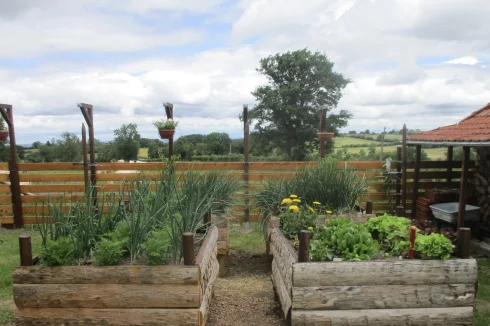 raised beds