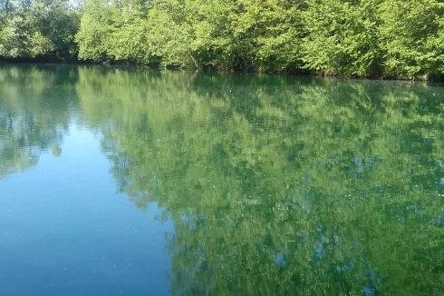 2 Lakes, Carp Fishery Business in the Ardenne Region of France 3.5 Hours from Calais, Beautiful Rural Views Carp up to …