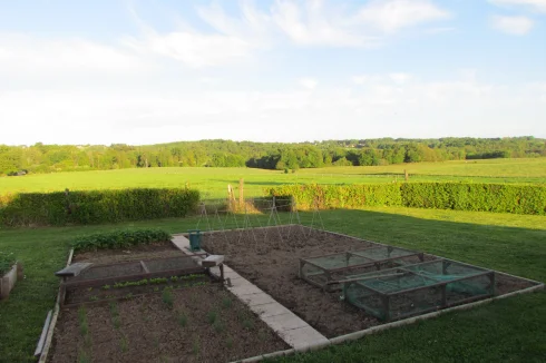 Vegetable garden.