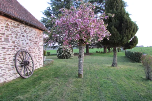 Garden view with blossom trees.