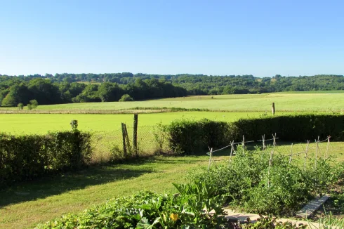 Vegetable garden with stunning views beyond.