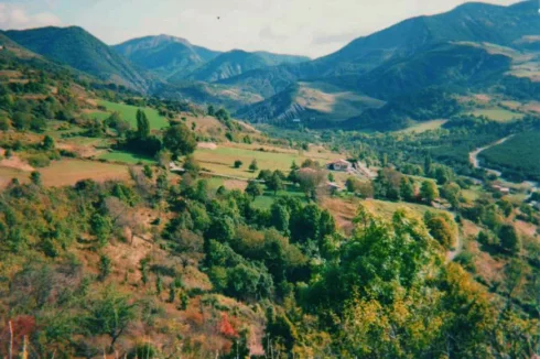 The Barri Orchards (with 1660m2 building block)