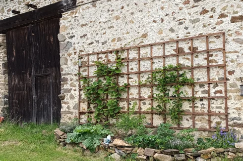 Kitchen garden on barn 2 wall