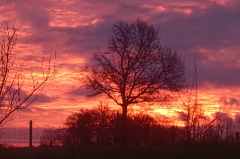 Coucher de soleil depuis la porte de la cuisine