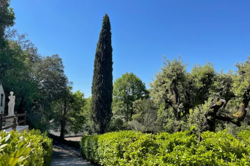 As you look back down the driveway. You’ll catch a glimpse of the convenient car park and the new tennis court, just visible through the lush greenery.