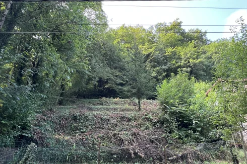 le terrain a coté de la maison en terrasses