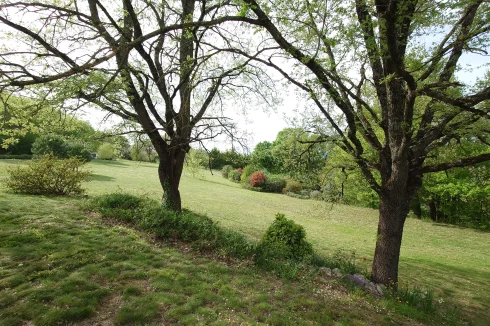 Front view of the field