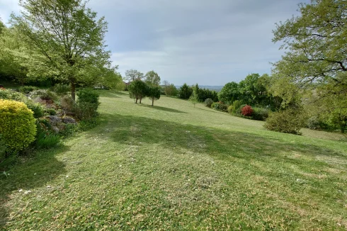 Front view of the field