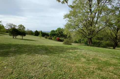Front view of the field