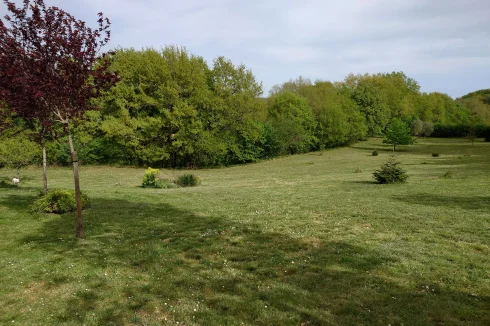 Rear view of the field