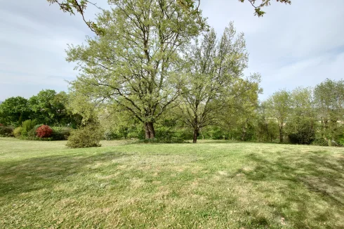 Front view of the field