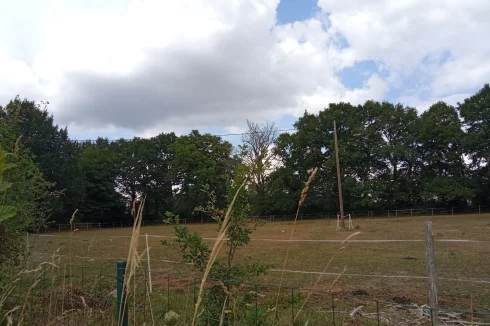 Field