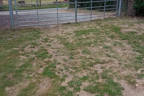 Driveway access to garden