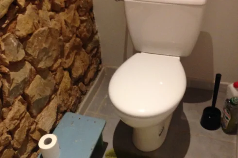 toilet