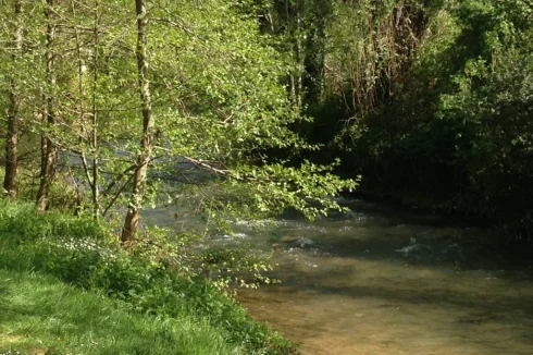 river