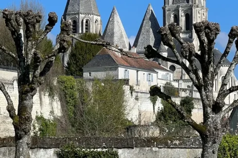 Collégiale view from garden