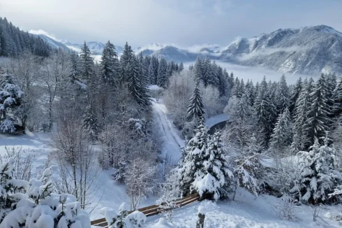 Winter view from terrace downstairs