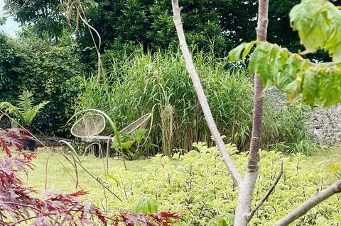A refined green setting, perfect for relaxing, reading and enjoying the birdsong.