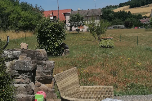 garden view