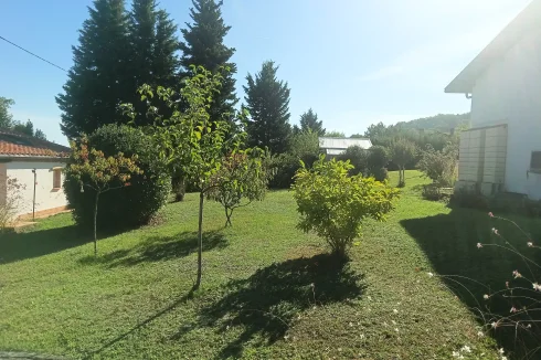 Terrain arboré de 2670 m2