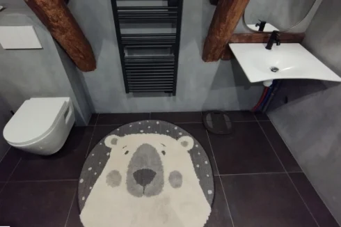 Shower room