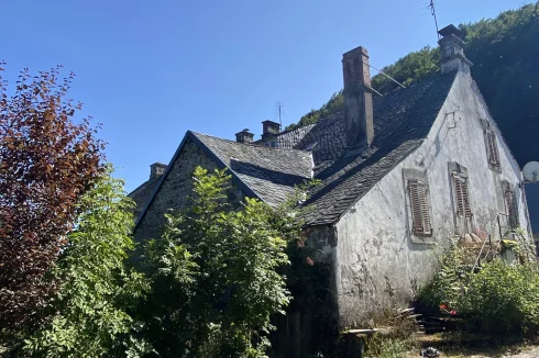 Back view and garden