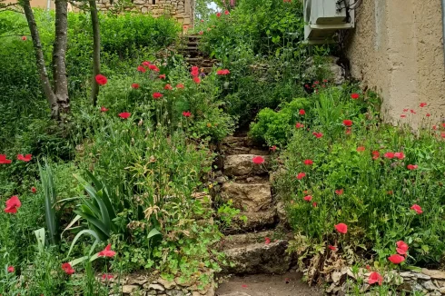 Rear stone staircase