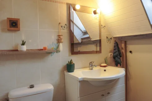 WC in Shower room
