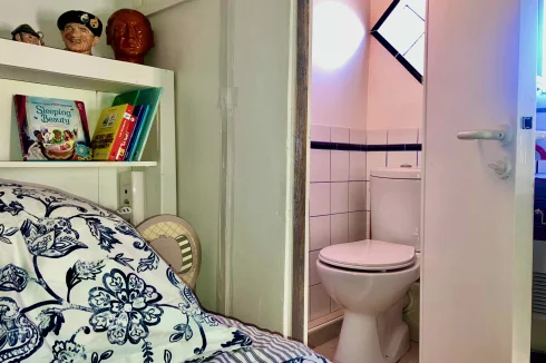 Attic Toilet