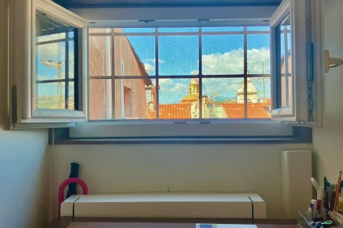 View from Attic Window