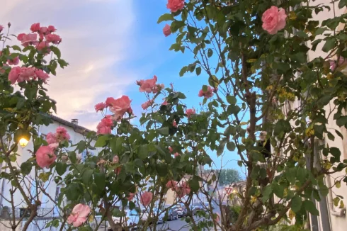 Devant la maison