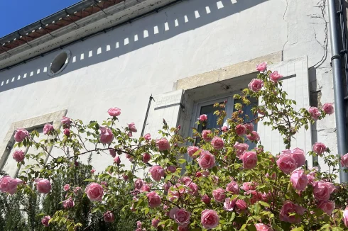 Devant la maison