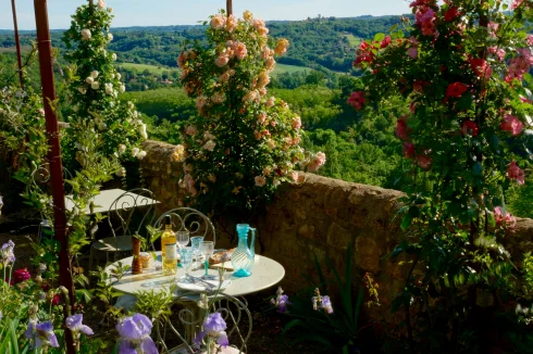 Jardin, tunnel avec roses et vue